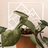 Mountains Indoor Plant Trellis