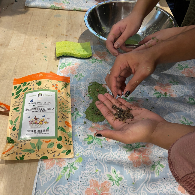 Seed Paper Making Class Craft Theory