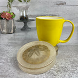 Sand Dollar Coasters, Set of 2