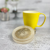Sand Dollar Coasters, Set of 2
