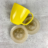 Sand Dollar Coasters, Set of 2