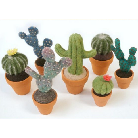 Felted Cactus Trio Class