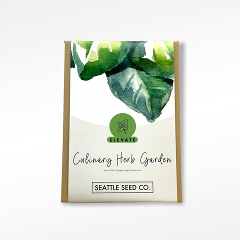 Organic Seed Collection- Culinary Herb Garden